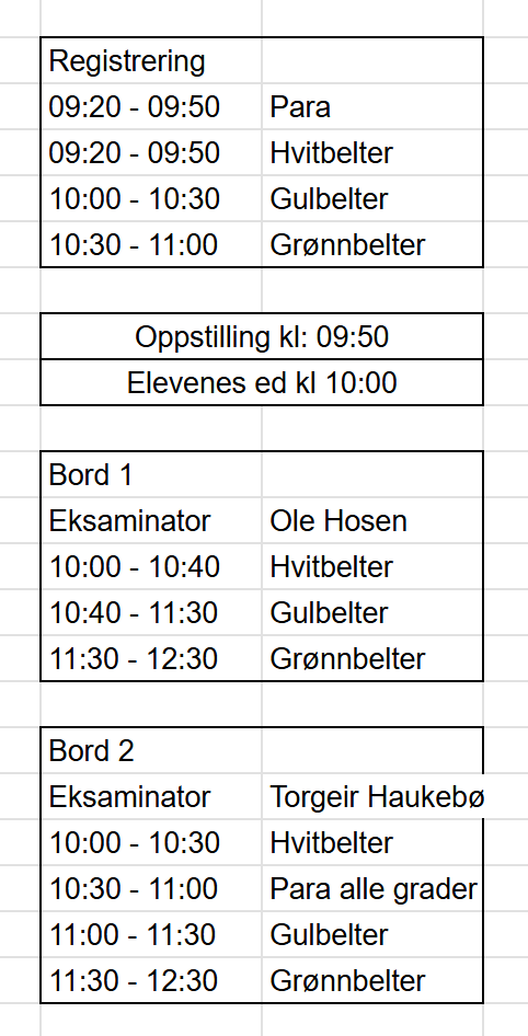Tidsplan lørdag 5. april